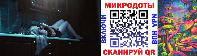 где найти   Шацк  Галлюциногенные грибы мицелий 